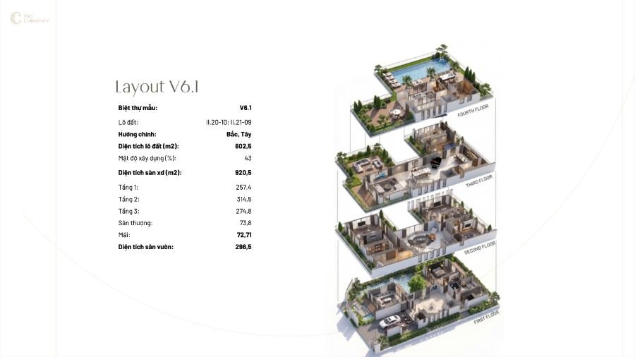 Mẫu thiết kế V6.1